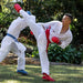 SMAI - WKF Approved Belt - Boxing - MMA DIRECT
