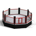 SMAI - MMA Cage - 5.5m Raised Octagon - Boxing - MMA DIRECT