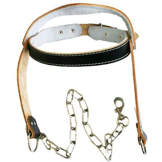MANI Leather Head Harness Weight Lifting Neck Strength Training - Weight Lifting - MMA DIRECT