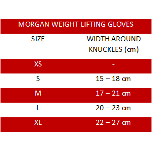 Morgan V2 Platinum Weightlifting Gym Training Gloves